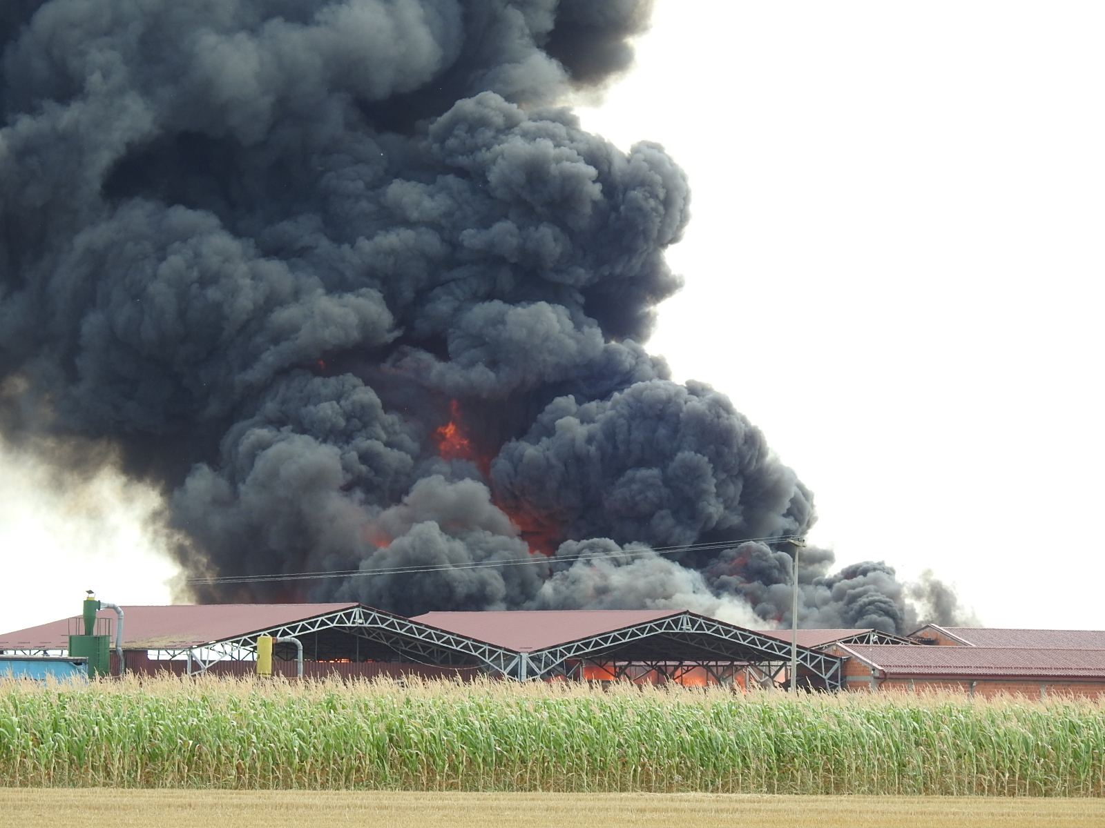 Lokalizovan požar kod Bijeljine: 