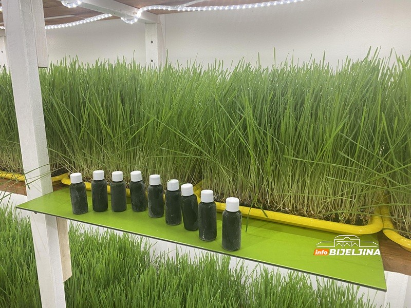 Supružnici Pejić iz Bijeljine prave sok od spelte: “Koriste ga dijabetičari, ljudi sa pritiskom, holestorolom…” (FOTO)