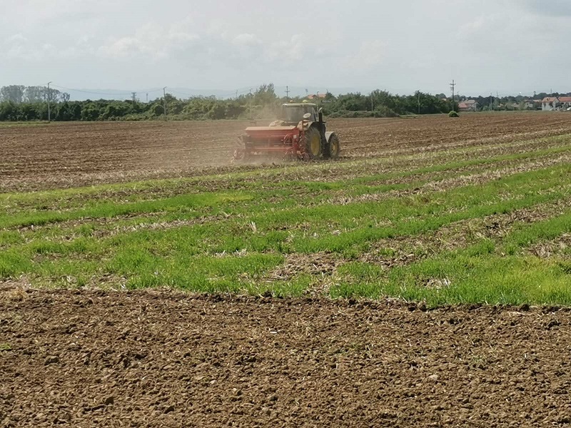 Jesenja sjetva u punom jeku: RATARI ŽURE KAKO BI ZASIJALI OZIME USJEVE