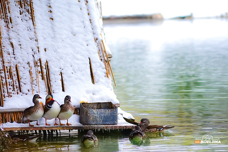 Oglasili se meteorolozi: Ulazimo u PRAVU ZIMU, za novogodišnju noć SNIJEG
