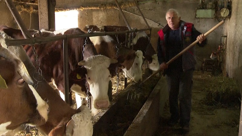 Vrijedni Radovanovići velikog srca: Mnogo nam znači što unuk želi da ostane na imanju i unaprijedi ga
