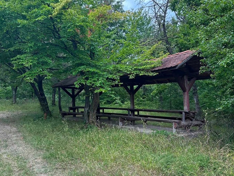 Boračka organizacija Lopare: Deset godina bez odgovora na prijavu za ratni zločin na Majevici (FOTO)