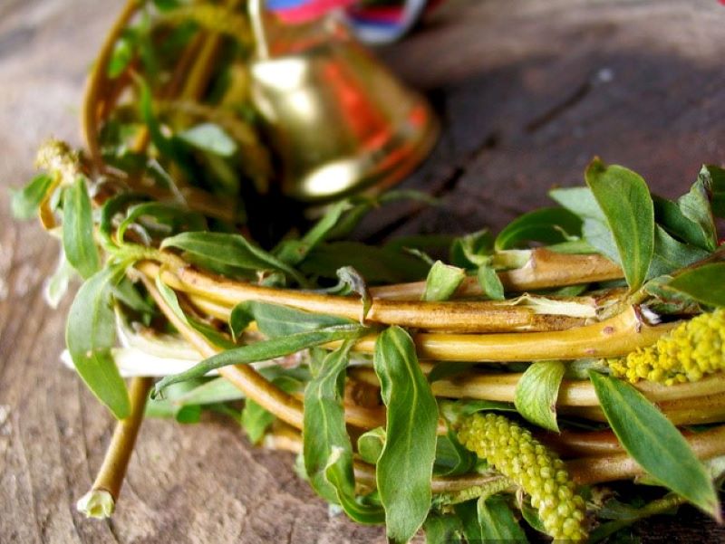 Narodni običaji i vjerovanja na Lazarevu subotu - Vrbicu