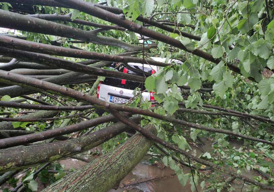 OLUJA ČUPALA DRVEĆE Vjetar u Srpskoj duvao brzinom od 67 kilometara na čas