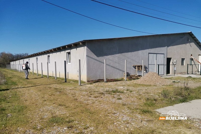 Semberija: Šta se mora odraditi prije useljavanja farmi na kojima je bila potvrđena afrička kuga?