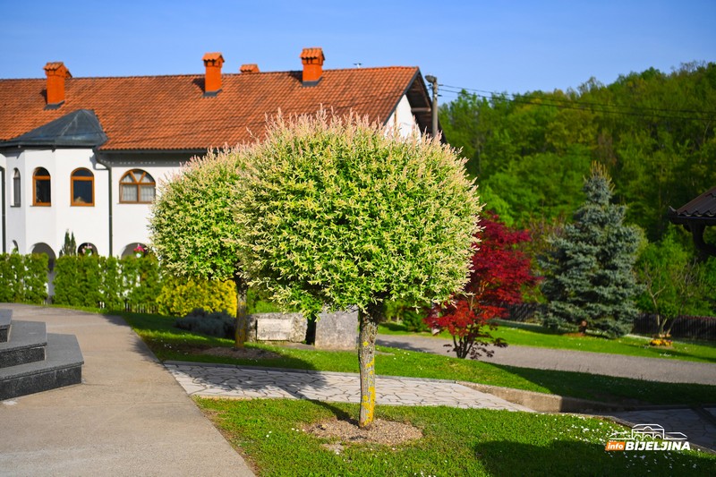 Manastir Svetog arhangela Gavrila u Gornjem Dragaljevcu: Duhovni mir i ljubav prema Bogu (FOTO)