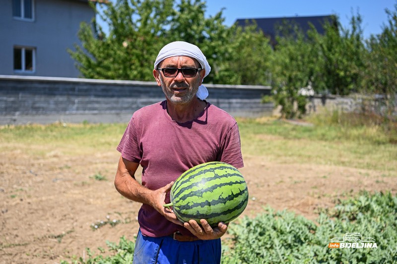 Poljoprivrednik iz Donjeg Crnjelova: Lubenicu prodamo za 0,40, a u marketima skuplja od marke (FOTO)