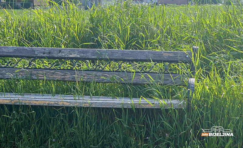 Bijeljina: U korov obraslo omiljeno šetalište, trava “progutala” klupe (FOTO)