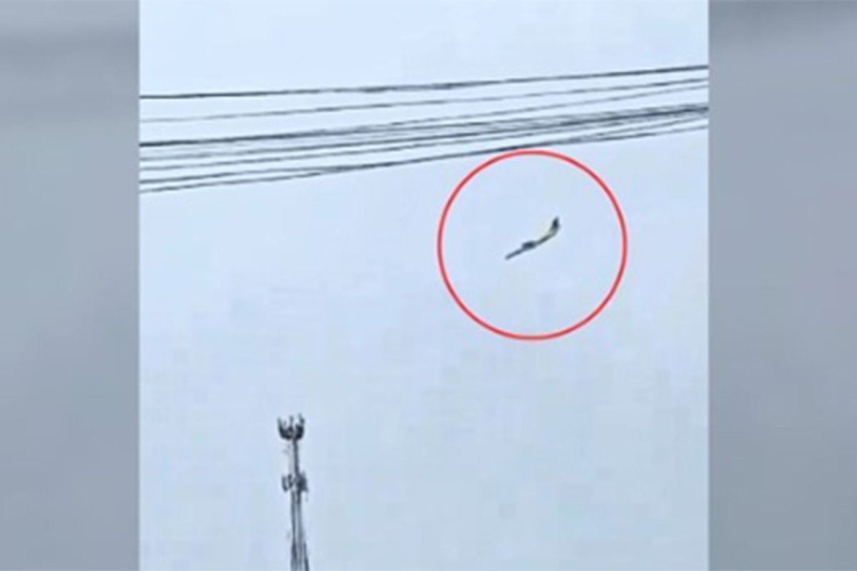 Srušio se putnički avion, snimak stravičan (VIDEO)