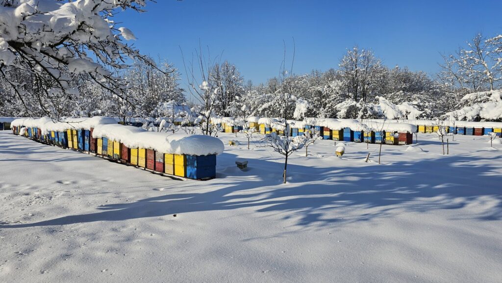 Za Lukiće pčelarstvo predstavlja način života: Pčele ih uče strpljenju, upornosti i vjeri da se trud uvijek isplati (FOTO)