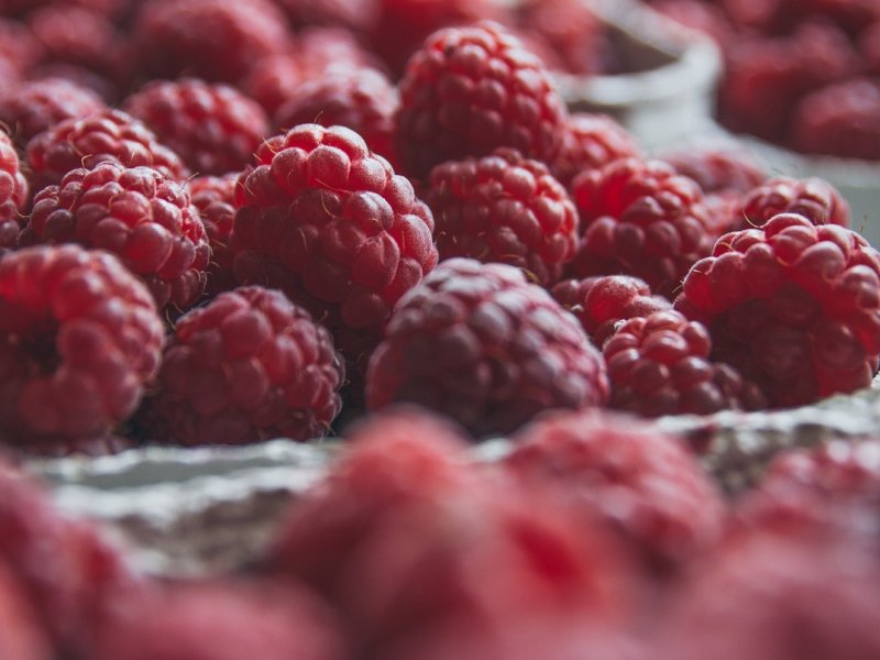 Još nema otkupne cijene maline, protesti sve izvjesniji