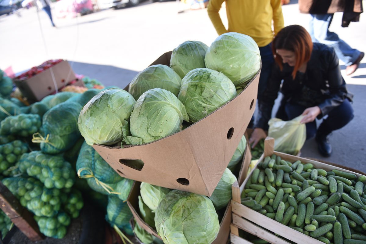 Hiljade tona kupusa ostale na njivama u Srpskoj: Poljoprivrednici primorani da zaoravaju rod