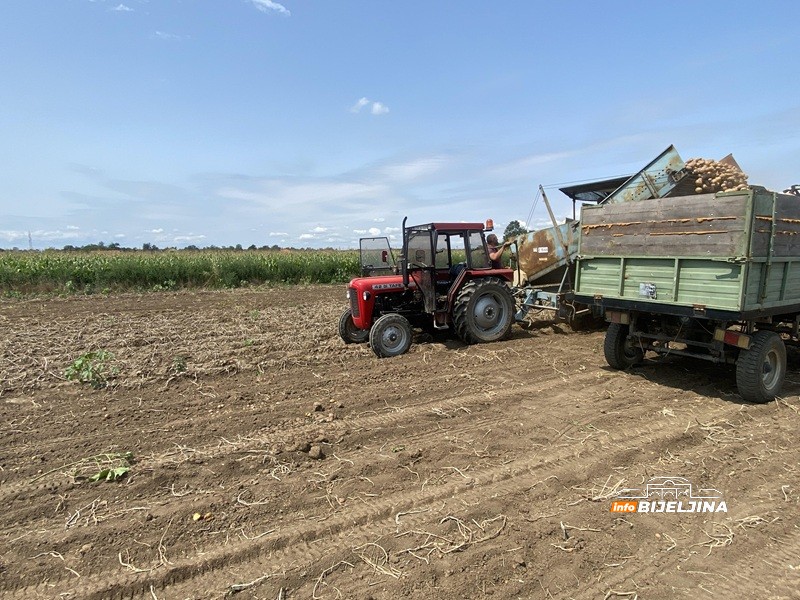 U Semberiji počelo vađenje industrijskog krompira: Hoće li ova godina nadoknaditi prošlogodišnju katastrofu?