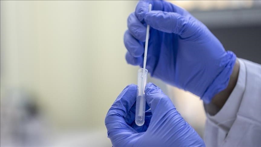 U Crnoj Gori potvrđeno prisustvo delta soja