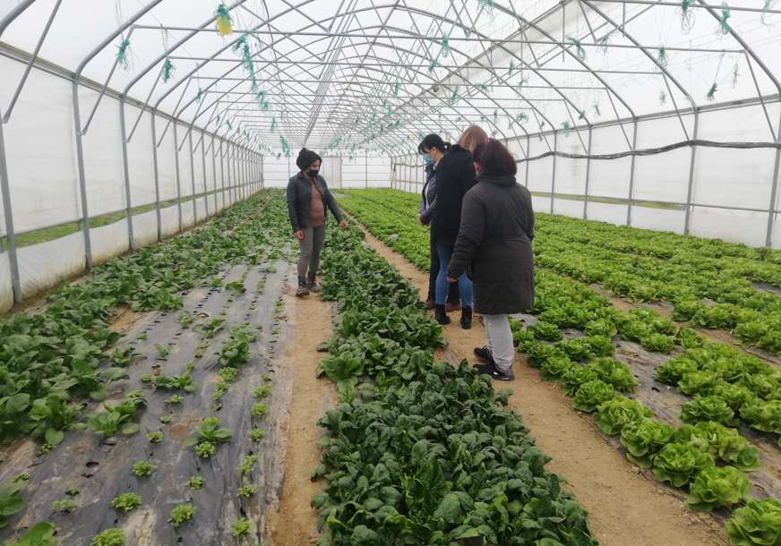 Isplatilo se pomučiti se: Prispjelo organsko povrće iz semberskih plastenika