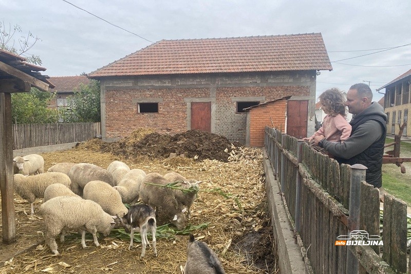 Profesor fizičkog iz Popova pretvorio hobi u posao: Ovce 
