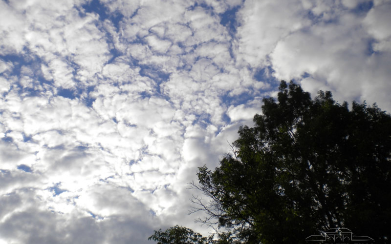 Sutra prije podne hladno i oblačno, u nastavku dana sunčano