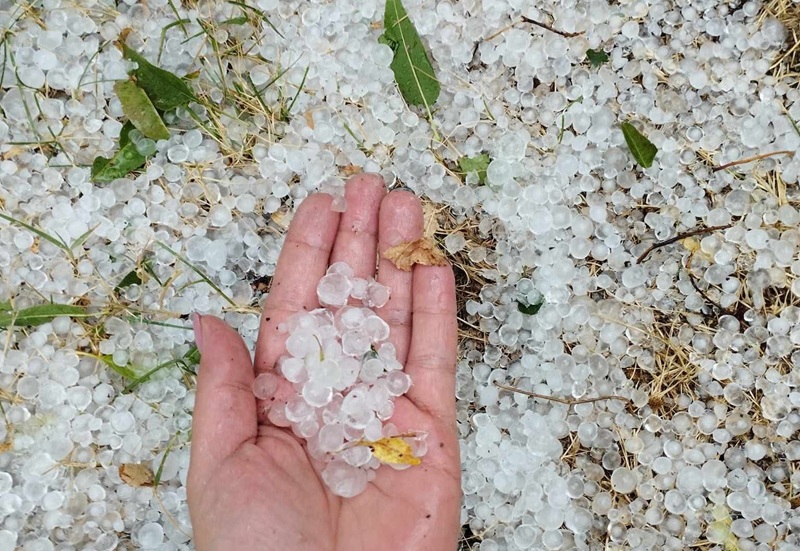 Nevrijeme: Led u gradu u BiH izazvao haos na usjevima (FOTO)