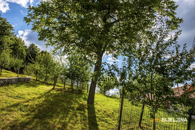 OD 7. MAJA SE SVE MIJENJA: Meteorolog otkrio kada ćemo se oprostiti od zimske odjeće i obuće