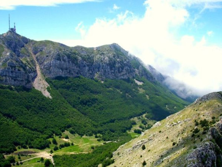 Upozorenje turistima: Na ovim planinama moguć susret s medvjedom