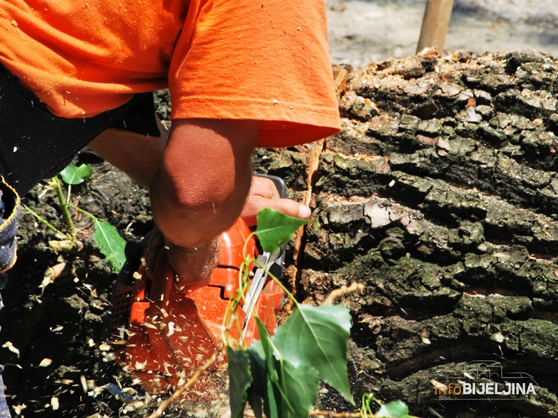 Šumarstvo u Republici Srpskoj: Pad proizvodnje i prodaje