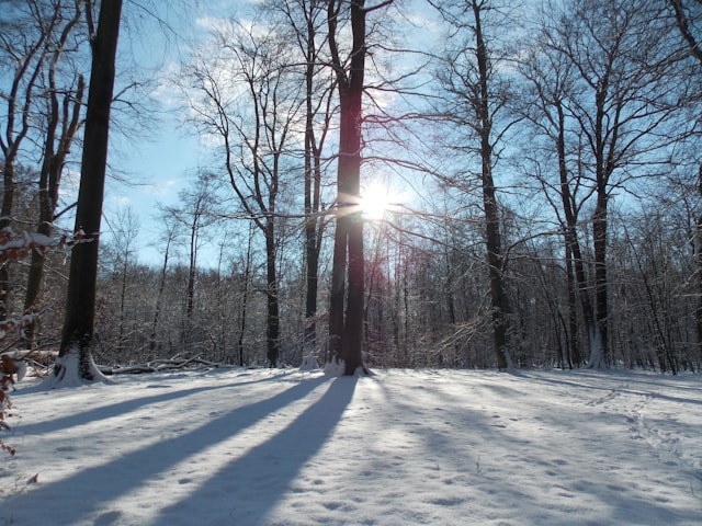 Meteorolozi najavljuju topliju zimu: Očekuju nas češći prodori hladnog vazduha i obilnije padavine