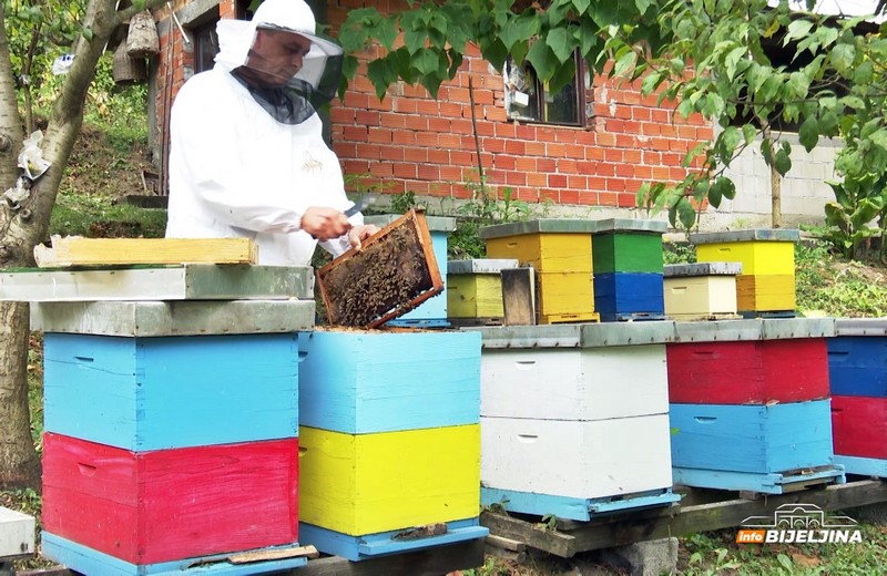 InfoBijeljina u posjeti majevičkim pčelarima: Godina loša, ali neće povećavati cijenu meda (FOTO)