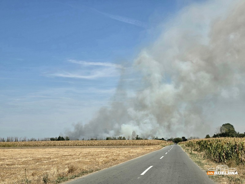 Požar u Amajlijama, na terenu brojne vatrogasne ekipe (FOTO)