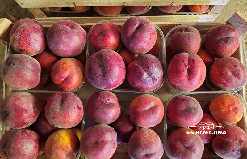 Manji rod breskvi u Semberiji, duplo veća cijena: Da li će i ovo voće biti luksuz? /FOTO/