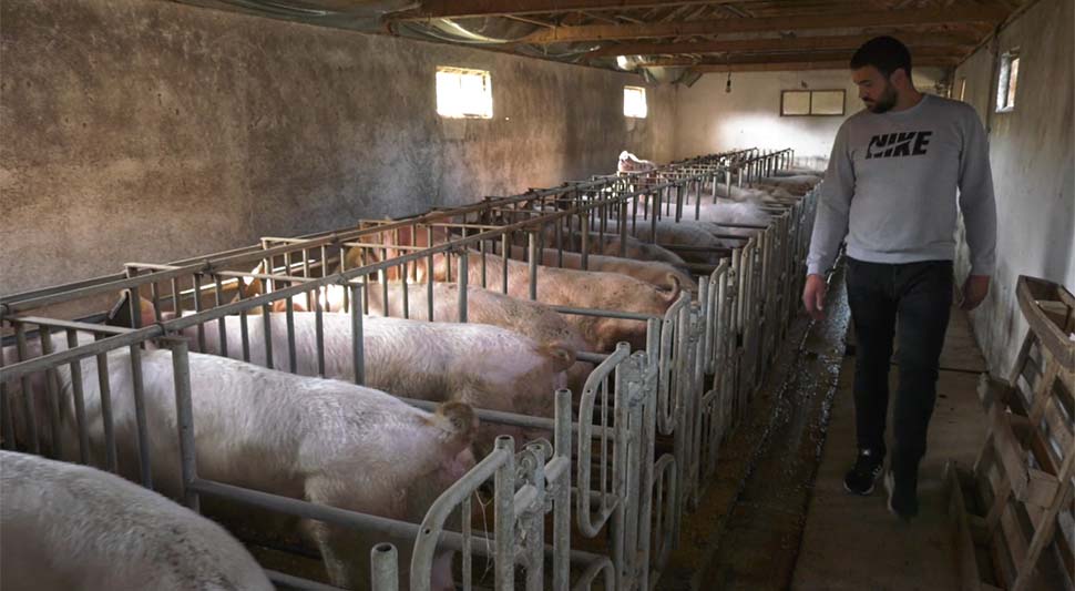 Bijeljina: Mladi agronom se odlučio za život i rad na selu