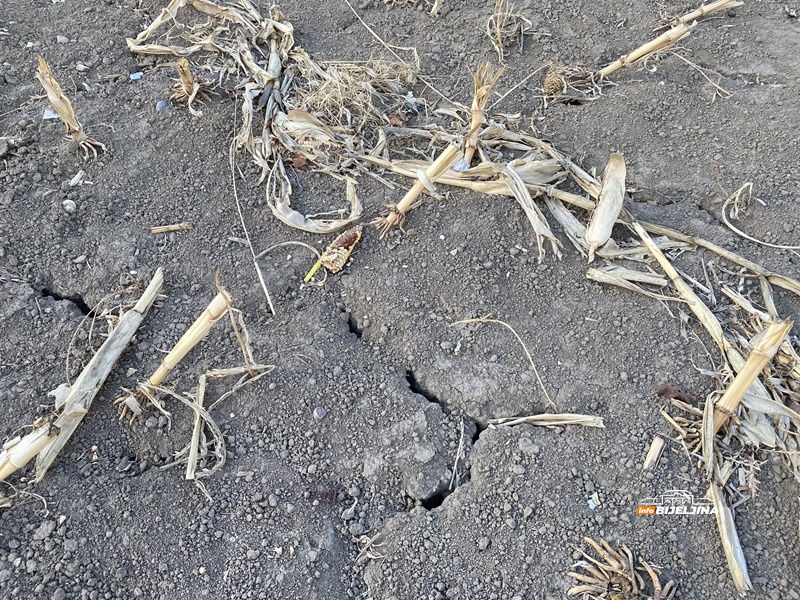 Suša odgađa sjetvu u Semberiji, troškovi rastu: „Zemlja suva kao barut“ (FOTO)