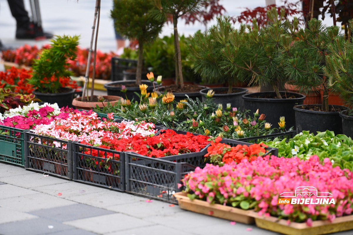 Otvoren Sajam cvijeća u Bijeljini (FOTO)