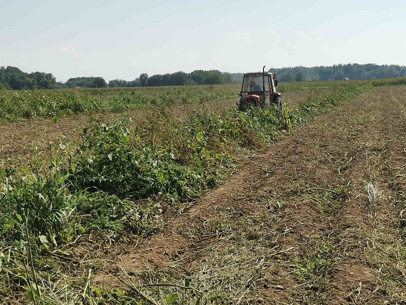 PODSTICAJI ZA MLADE SEMBERSKE AGRONOME Za ovaj vid podrške izdvojeno 720.000 maraka
