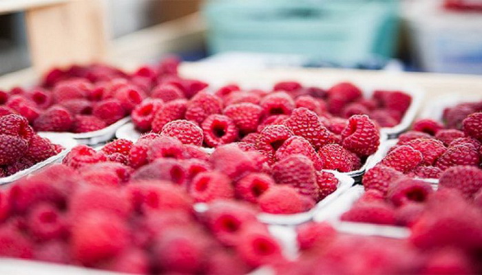 Hladnjače u regionu pune neprodatih malina