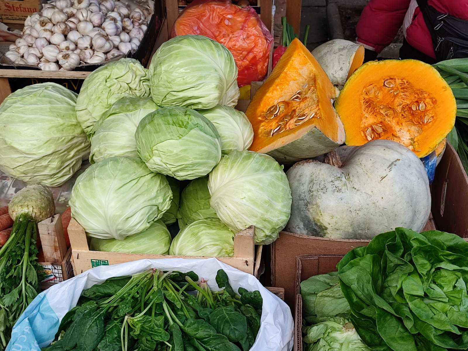 Semberski kupus na svjetskim trpezama