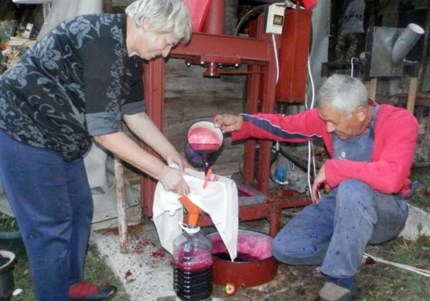 Aleksandar na planinskim obroncima gaji “kraljicu” među povrćem: Sok od njegove organske cvekle SPAŠAVA IMUNITET