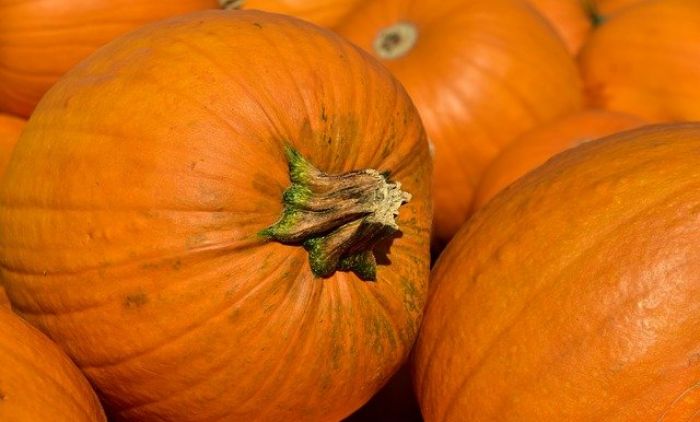 Kriška pečene ili kuvane BUNDEVE najbolji lijek za glavobolju