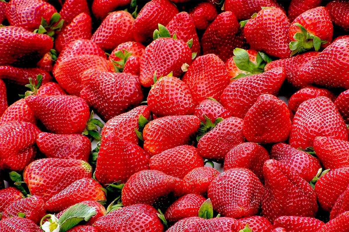 Evo kako da izbjegnete prevaru prilikom kupovine jagoda