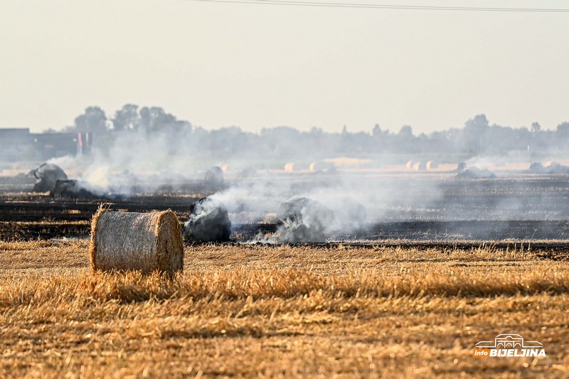 Snimci iz vazduha: Pogledajte razmjere velikog požara kod Bijeljine (VIDEO)