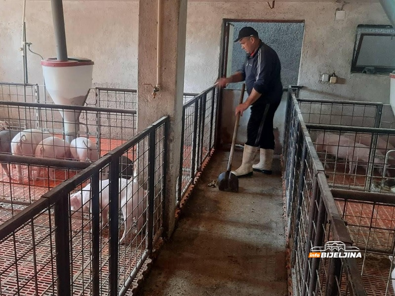 Sedmočlana porodica Ristić iz Zvornika živi od poljoprivrede: Isplatile se dvije decenije truda (FOTO)