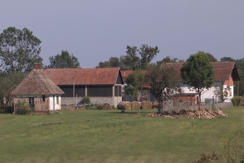 Šta nedostaje bijeljinskim selima da zadrže mlade: 