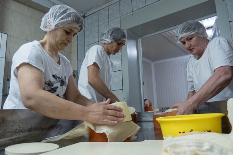 Domaći mljekari posluju na ivici rentabilnosti: Računica tanka bez sira i maslaca