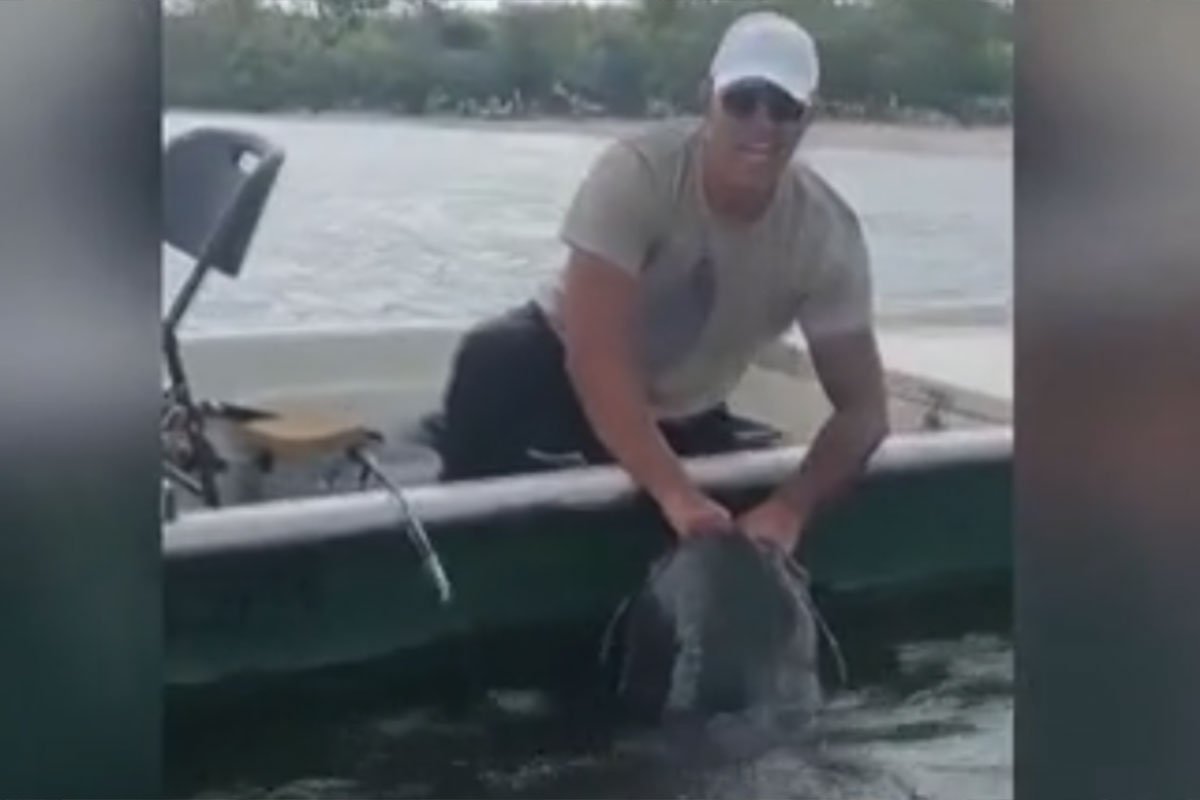 Peđa upecao trećeg kapitalca, soma od 70 kg, najteži imao čak 105