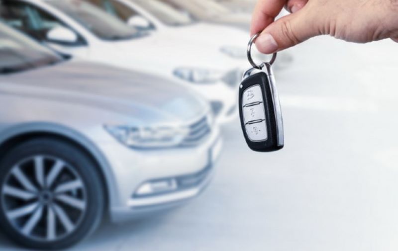 Boja polovnjaka značajno utiče na njegovu vrijednost 