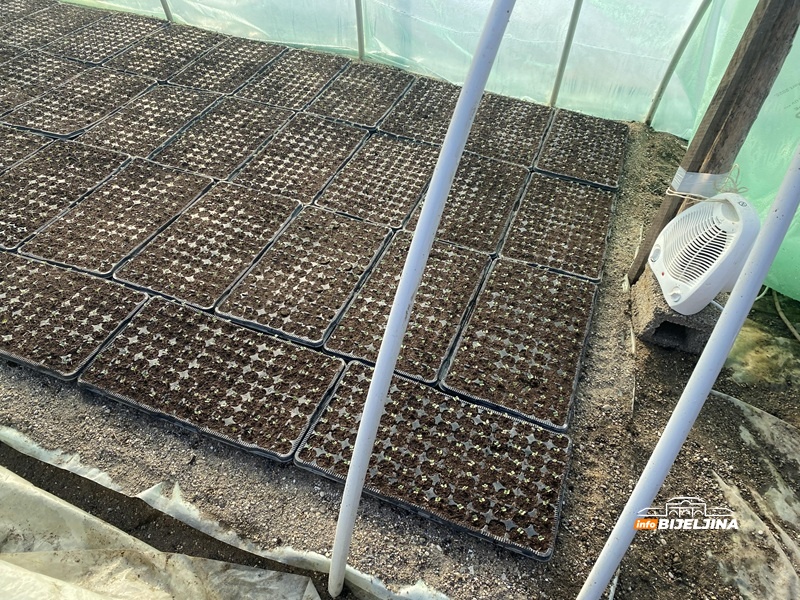 Skupa proizvodnja, jeftina prodaja: Hoće li se semberskim povrtarima isplatiti ovogodišnja sjetva?