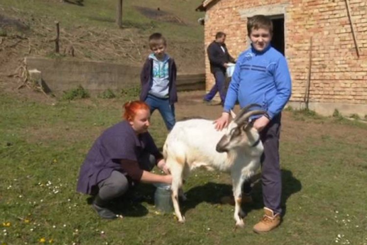 Vratili se iz Njemačke i osnovali gazdinstvo kod Laktaša