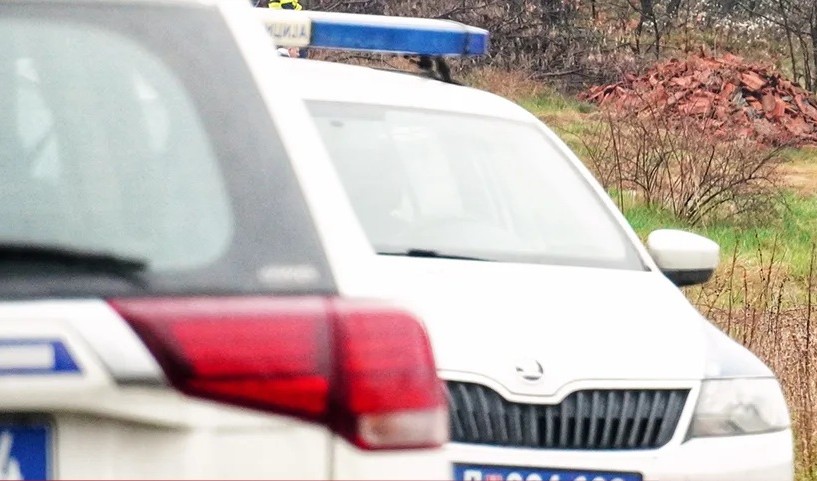 Tužilaštvo traži pritvor za vlasnika pasa: Žena ušla u dvorište da nađe pile, oni je nasmrt izujedali