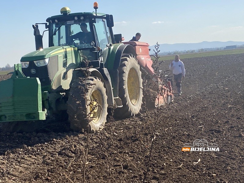 Napreduje ozima pšenica u Semberiji, ali joj prijeti opasnost: “Simptome možemo uočiti tek u proljeće”
