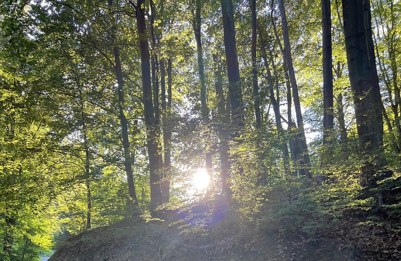 Danas sunčano i vruće, VEČERAS TROPSKA NOĆ