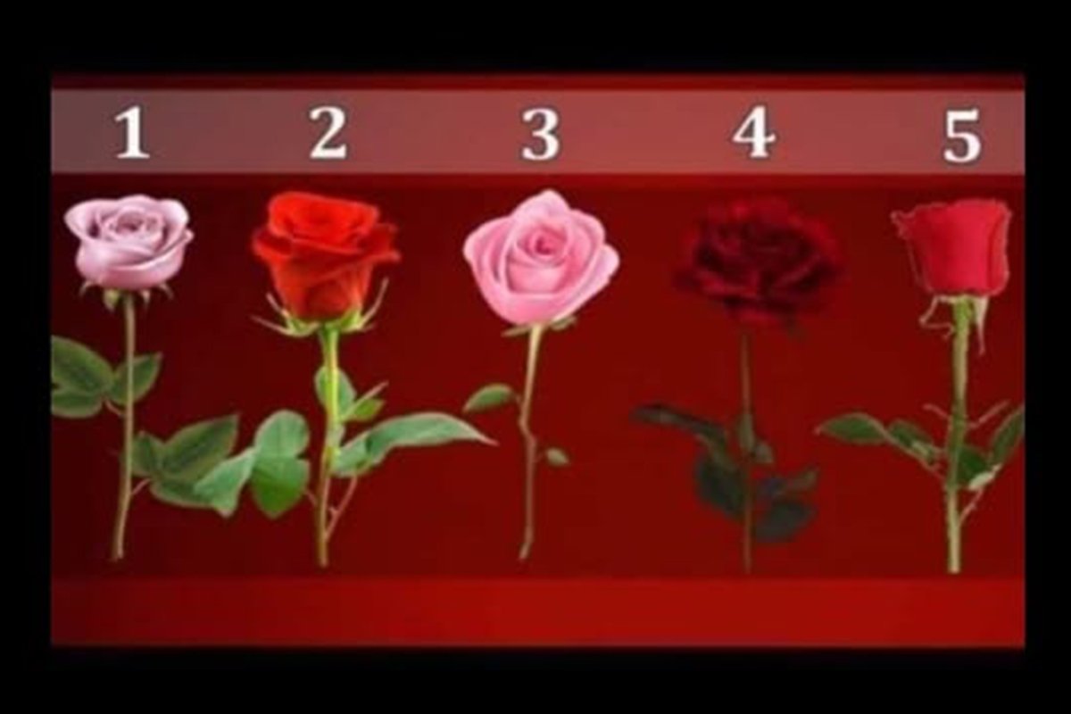 Izaberi ružu i saznaj svoju najveću želju: Test ličnosti koji otkriva sudbinu